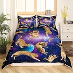 Cats Duvet Cover Set Galaxy Cute Cat Bedding Set for Kids Boys Girls University Planets Pet Cat Theme Bedding & Linen Fun Lovely Animals Quilt Cover 3Pcs Double Size