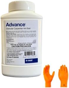 Advance Ca