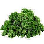 200g Artificial Moss Fake Faux Natural Fresh Green Moss Decorative 5 Colors Preserved Eternal Moss Decorative for Home Garden Patio Miniature Fairy Garden Accessories Plant House Decor (light green)