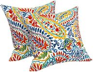 LVTXIII Outdoor/Indoor Throw Pillow