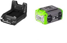 NovorikX 60V 5 Ah Lithium Ion Battery Pack Lithium-Ion Batteries & Charger