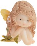 Top Collection Miniature Fairy Garden and Terrarium Little Fairy