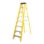 8 Ft Ladder