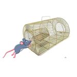 Rat Trap Cage (Large) | Mouse Cage | Big Size | Rodent Iron Cage for Home | Rust Proof Coating | NO Kill | Re-Usable Mouse Trap