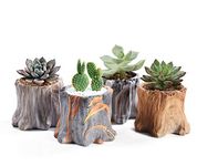 2CFUN Succulent Planter Pots Small Ceramic Flower Cactus Pots Set 4 Pack Tree Stump Succulent Pots with Drainage Bonsai Pots 4.33 Inch Gift for Home Decor Indoor Outdoor