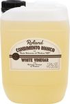 Roland Foods Condimento Bianco with Balsamic Vinegar of Modena, White Vinegar, 5-Liter Jug