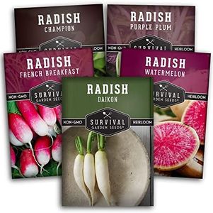 Survival Garden Seeds Radish Collection Seed Vault - Watermelon (Daikon Type), Purple Plum, French Breakfast, Daikon, Champion Radishes - Non-GMO Heirloom Seeds for Planting in Your Vegetable Garden