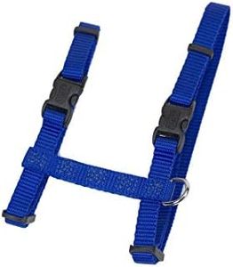 Coastal Pet Figure "H" Adjustable Cat Harness - Outdoor Cat Supply - Comfortable for Cats - Secure Snap-Lock Buckles - Blue, 3/8" x 10"-18"