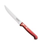 TRAMONTINA Polywood Stainless Steel Fruit Knife/Chaku,10.1cm/4" | Wavy/Serrated Edge Knife | Treated Brazilian Polywood Handle | Impact Resistant | Heat Resistant |Dishwasher Safe | 5 Year Warranty*