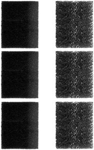 AquaMiracle Replacement Filter Sponges (6-Month Pack) for Aquarium Filter, Including 3 x Fine Sponge & 3 x Coarse Sponge