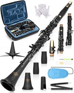 AKLOT B Flat Concert Clarinet: Precision Tone Hole Design for Stable Intonation, Durable Black Nickel Keys, Including Leather Hard Case, Barrel, Stand, Full Cleaning Kit (Aria-EN)