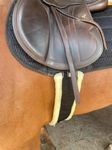 Preto Synthetic Saddle Jumping Girth Equine Elasticated Ends Soft Faux Fur/Mink/Fleece lined Strong Tear Resistant Nylon Webbing Anti-chafing Padded Equestrian Cob Full Pony