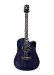 Westwood (DC-480E F AW) Electro-Acoustic Guitar (With FISHMAN Pickup) Transparent Black