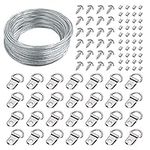 Picture Wire Hanging Kit, 100Ft Picture Frame Hanging Wire Heavy Duty with D Ring Hangers and Crimping Sleeves Stainless Steel Rope for Wall Art