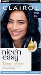 Clairol Nice'n Easy Permanent Hair 