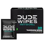 DUDE Wipes Flushable Wipes, Individually Wrapped Wet Wipes for Travel, Mint Chill Scent with Vitamin-E and Aloe, 30 On-The-Go singles