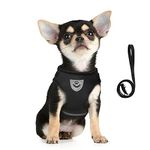 FEimaX Dog Harness and Leash Set, No Pull Adjustable Puppy Harness with Reflective Strip, Escape Proof Kitten Step-in Vest Fit Small Dogs Cats