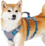 Huntboo Reflective Dog Harness with Handle, Escape Proof Harness, No Slip Dog Harness Escape Proof, Breathable, Adjustable Vest for Small, Medium and Large Dogs Walking, and Training Gear（Teal Blue,S)