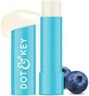 Dot & Key Barrier Repair Hydrating Lip Balm SPF 50 | Blueberry Bliss | Repairs Damaged Lip Barrier | Non Tinted | 4.5 gm