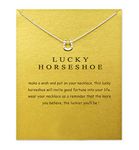 Baydurcan Girls' Horseshoe Necklace with Message Card Gift Card (Silver Horseshoe)