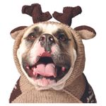 Chilly Dog Moosey Hoodie Dog Sweater, XX-Large