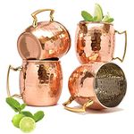 Terashopee Copper Mug for Moscow Mules 560 ML / 18 oz - Set of 4, Inside Nickle Hammered