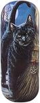 Glasses/Spectactle Case/Holder ~ Brush with Magik (Cat) Lisa Parker