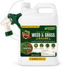 Natural Armor Weed and Grass Killer All-Natural Concentrated Formula. Contains No Glyphosate (128 OZ. Gallon)