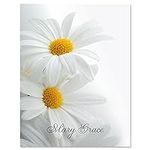Colorful Images White Marguerite Pe