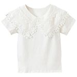 aromm Toddlers Girls Blouse Short Sleeve Cotton Tops School Uniform Shirt Lace Embroidery Doll Collar White,140