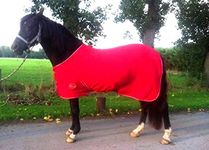 Cwell Equine NEW HORSE COB PONY SHETLAND MINI RED SHOW TRAVEL FLEECE RUG 3'6"-6'9" stable cooler choice of Sizes (6'9")