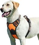 Eagloo Dog Harness for Large Dogs No Pull, Front Clip Dog Walking Harness with Reflective Adjustable Soft Padded Vest and Easy Control Handle, No-Choke Pet Harness with 2 Metal Rings, Orange, L