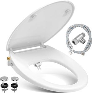 Toilet Sea