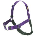 SENSE-ation No-Pull Dog Harness - Purple Medium