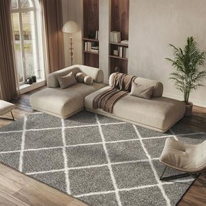 SAFAVIEH H