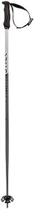 Volkl Phantastick 18mm Poles 2023, Black, 120