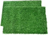 LOOBANI Dog Grass Pee Pads, Artificial Turf Pet Grass Mat Replacement for Puppy Potty Trainer Indoor/Outdoor Use - Set of 2 (18"x23")