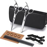 ANGNYA Hairdressing Scissors Set Hair Scissors Stainless Steel Barber Texturizing Scissors,with Leather Case, 6.0 Inch, Silver