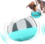 Bowl For Dogs To Eat Slower