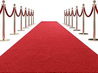 HOMBYS Extra Thick Red Carpet Runner for Events, Not Slip Red Aisle Runway Rug for Party Wedding & Special Events Decorations (Red, 2.6x15 ft)