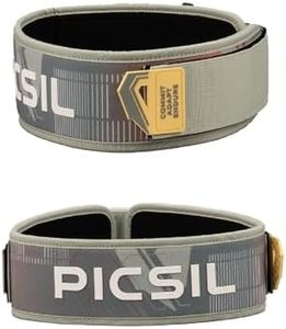 PICSIL Cei