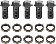 Motorcycle Brake Banjo Bolts for Brake Caliper Master Cylinder M10 x1.25/M10 * 1.0mm 5pcs (M10×1mm)+chinese atv banjo bolt m10x1.0+banjo bolt+banjo bolt m10