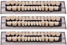 MIBICIRI 84 PCS Acrylic Resin Teeth Dental Denture Dental Synthetic Resin Teeth Denture Halloween Horror Prop 23 A2 ((28 Pcs/3 Set))