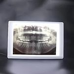Global-Dental Lab Equipment X-Ray F