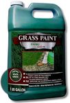 EnviroColor 4,000 Sq Feet 4Ever Green Grass and Turf Paint