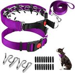 Dog Prong Training Collar, Dog Choke Pinch Collar with Nylon Cover Comfort Tips and Quick Release Snap Buckle, Dog Classic Collar and Dog Leash for Small Medium Large Dogs, Purple