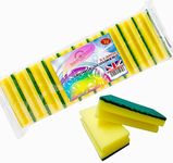 STERLING PRODUCTS Absorbent Kitchen Dishes Washing Up Sponges, Foam, Standard, Pack of 10 Extra Large