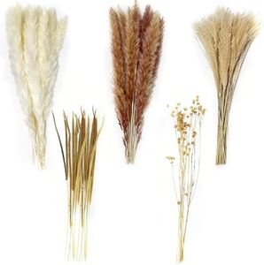 Houbobo 100Pcs Pampas Grass Boho Home Decor, Natural Phragmites Dried Flowers Bouquet, DIY Boho Plants for Wedding Floral Arrangements Home Decorations