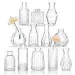 CEWOR 12pcs Glass Bud Vase Set, Sma