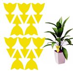 10 Pack Fruit Fly Traps Yellow Fungus Gnat Killer, Double-sided Sticky Fruit Fly Killer Fly Paper Bug Insect Catcher Fly Trap Fly Insect Control for Houseplant Indoor and Outdoor (Flower)